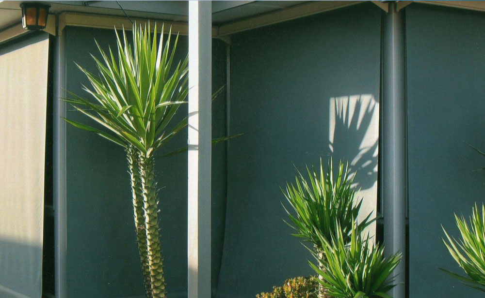 green-motorised-sun-blind